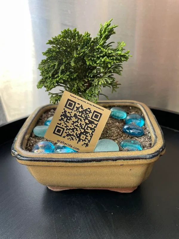Qr Afterlife Square Medallion 28